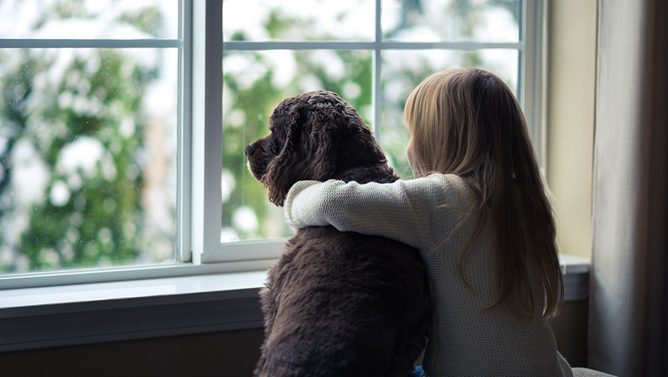 A girl putting hand on her dog and watching out of window