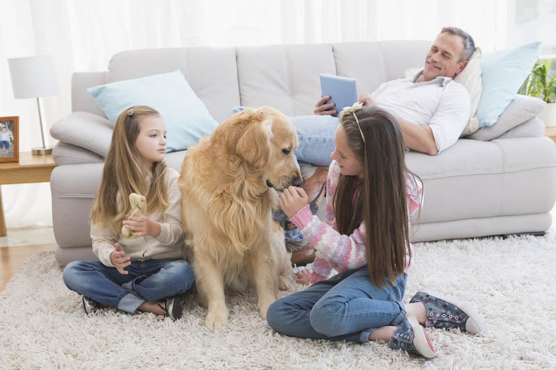 Smiling sisters petting their golden retriever on rug at home in the living room