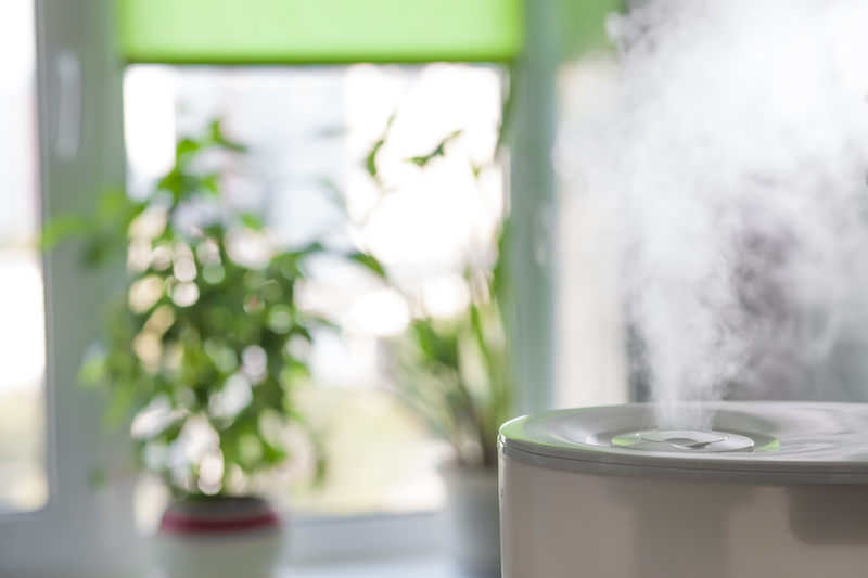 Featured image for “What You Need to Know About Whole-House Humidifiers and Mold”