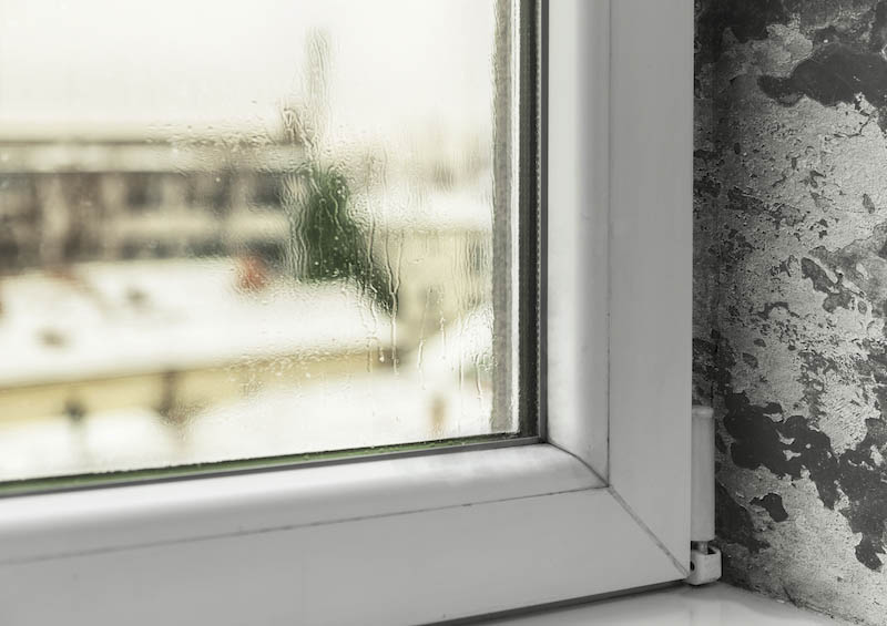 Condensation in windows cause mold and moisture in the house